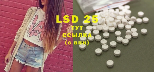 прущие грибы Куйбышев