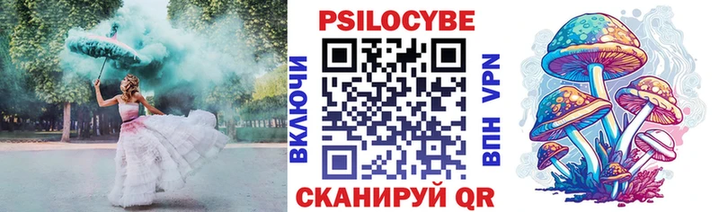 закладки  Кудымкар  Псилоцибиновые грибы Psilocybine cubensis 