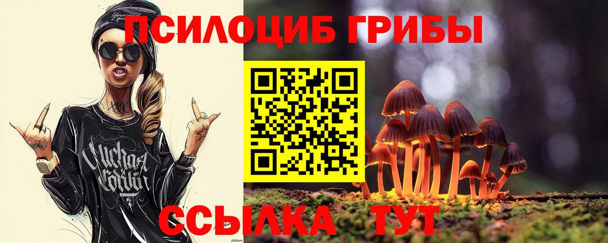 купить закладку  Вход с VPN  Кудымкар  Галлюциногенные грибы Magic Shrooms 