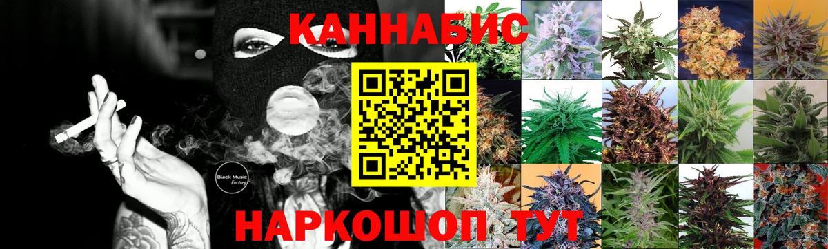 Бошки Шишки VHQ  Бошки Шишки планчик  Вход с VPN  Шишки марихуана сатива  Кудымкар  Канабис VHQ 